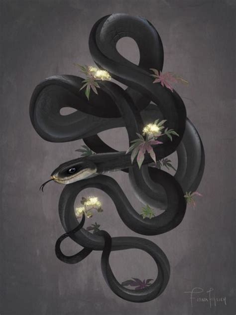 Fiona Hsieh Snake Drawing Snake Illustration Snake Art