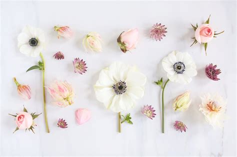 25 Incomparable Minimalist Aesthetic Flower Desktop Wallpaper You Can