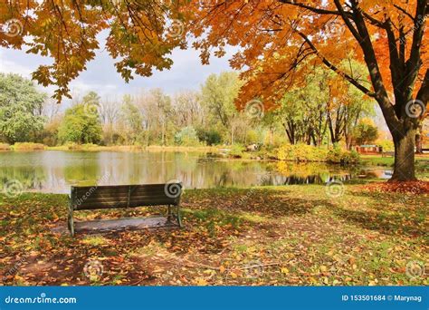 Midwest Nature Background With Park View Stock Photo Image Of Bench