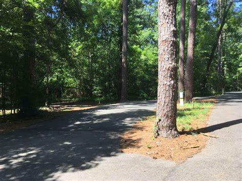 Caddo cabin is one of the four guest houses of caddo lake cabins on caddo lake. Caddo Lake State Park Full Hookup Campsites — Texas Parks ...