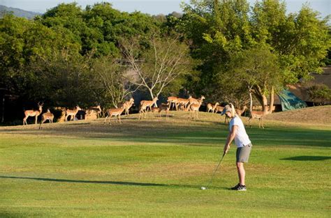 Kruger Park Lodge - Greater Kruger Park Area - Activities