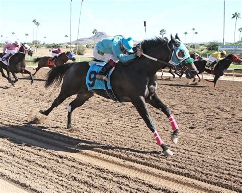 Select track or date for results turf paradise is a thoroughbred and quarter horse racetrack in the north mountain section of phoenix, arizona. Latest News - Turf Paradise
