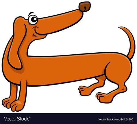 Cartoon Purebred Dachshund Dog Comic Animal Vector Image