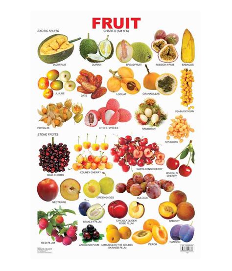 Fruit Chart 6 Laminated Chart Size 48cm X 73cm Buy Fruit Chart