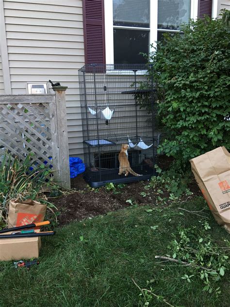 We did not find results for: DIY catio using an amazon-bought cat enclosure + petsafe ...