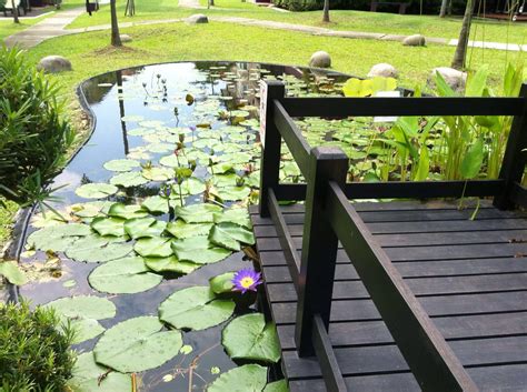 A garden is where the elements in nature collide, creating a wondrous peacefulness that we gardeners revel in, says master gardener paul james. Garden.MY, landscaping, landscape,garden, gardening, jb ...