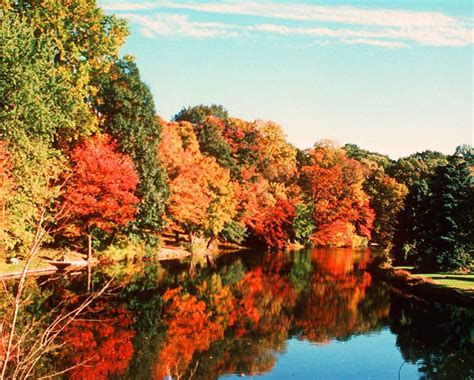 A Conservationists 11 Favorite Nj Spots To Enjoy Fall Foliage