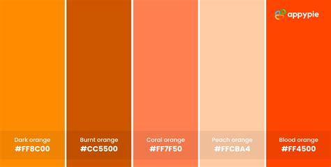 History Of Orange Color 25 Best Colors That Go With Orange Color In