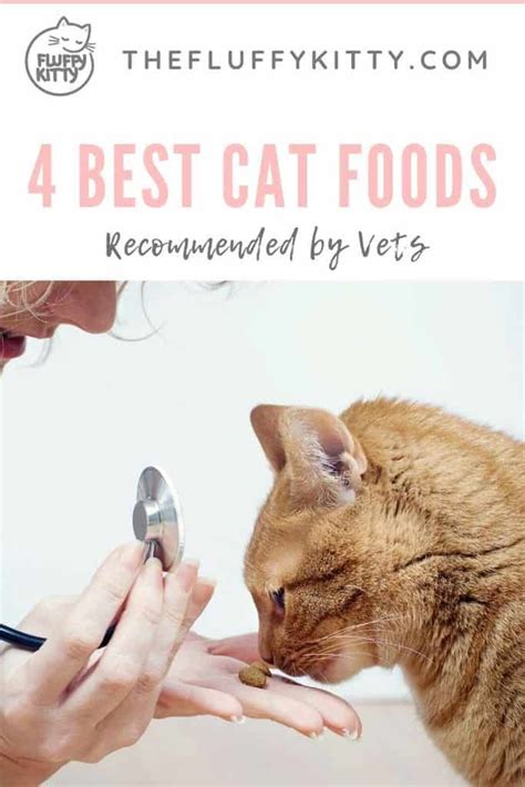 Knowing the information above, here are the 15 best cat food brands that only produce the highest quality food. 4 Best Vet Recommended Dry Cat Food Brands in 2020 | Cat ...