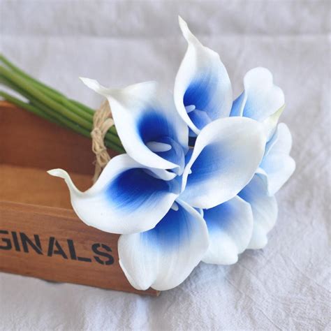 Pcs Real Touch Royal Blue Picasso Calla Lilies Calla Lily Etsy