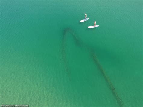 Haunting Pictures Show Some Of The 6000 Shipwrecks That Lie In North