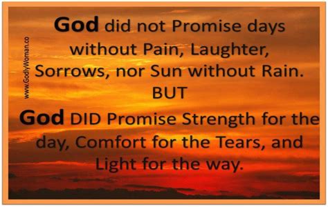 God Did Not Promise Days Without Pain Laughter Sorrows Nor Sun