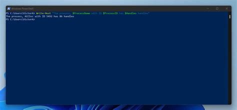 Powershell Write Host Explained