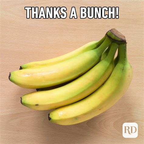 23 funny thank you memes reader s digest