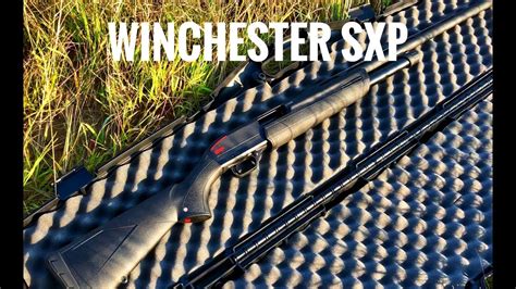 Winchester Sxp 12 Gauge Full Choke Pattern Youtube