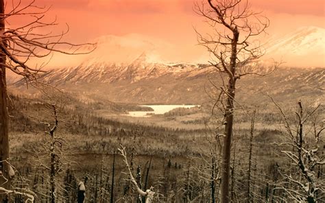 Wallpaper Sunlight Trees Landscape Forest Mountains Hill Sky