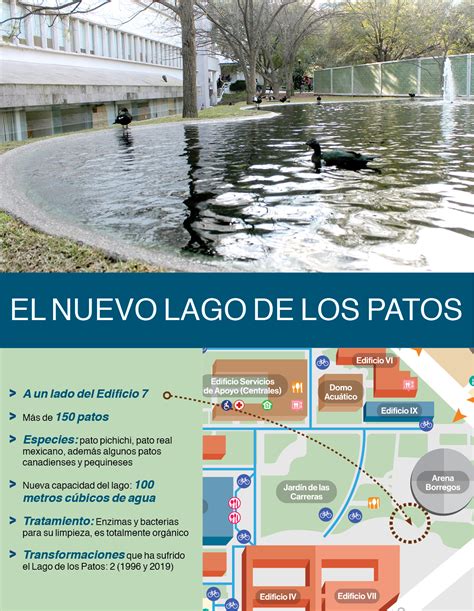 ¿Y dónde quedó el Lago de los Patos? | Tecnológico de Monterrey
