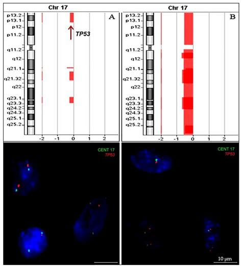 Ijms Free Full Text Detection And Correlation Of Single And