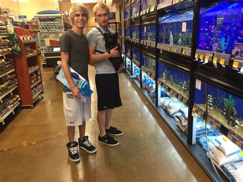 Kyle Ross On Twitter The Princess Loves To Shop With His Daddies 🐾🐠😍