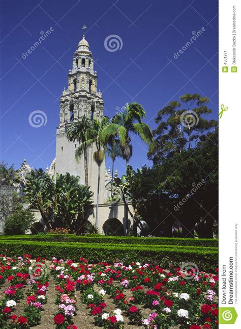 Maybe you would like to learn more about one of these? Flowers In Balboa Park, San Diego Stock Image - Image of ...