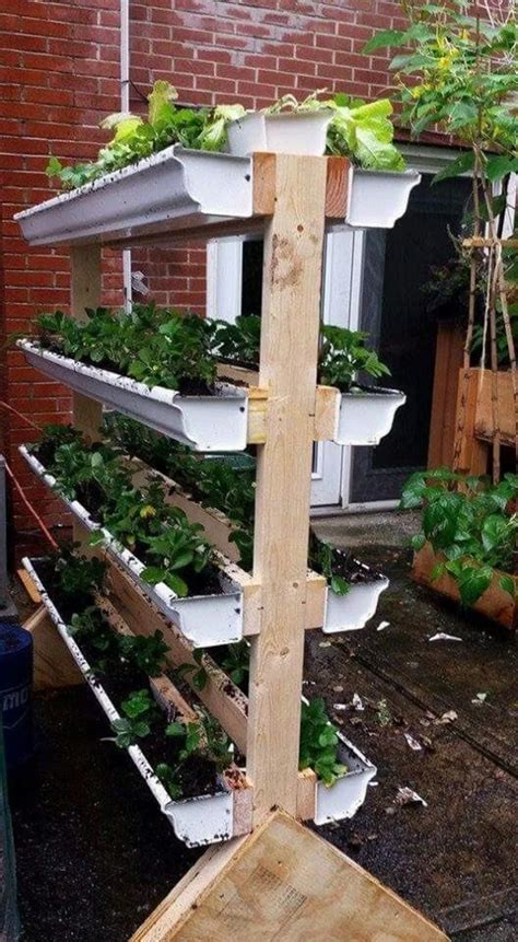 54 Creative Vegetable Garden Ideas And Decorations Vegetablegarden