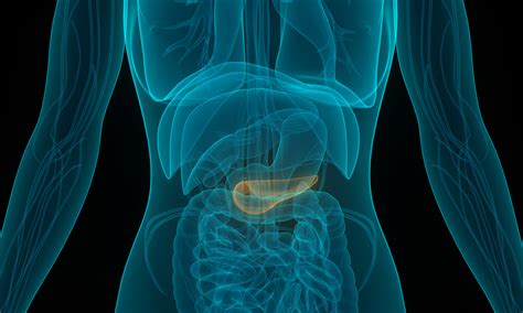 Pancreatic Symptoms And Signs To Know