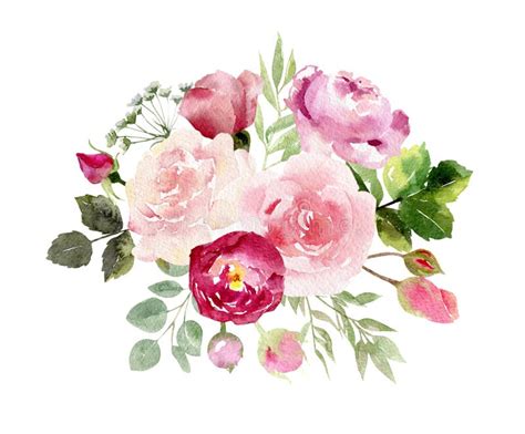 Una Colección De Rosas Pintadas A Mano De Las Flores De La Acuarela