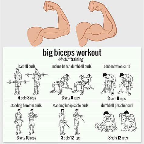 Pin By Rafael Aguilar On ლლhealth And Fitnessლლ Big Biceps Workout