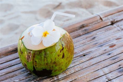 Coconut Beach At Samui In Thailand Stock Image Image Of Fresh