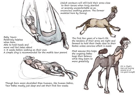 Centaur Biology Early Development In Mythical Creatures Art Character Art Creature Art