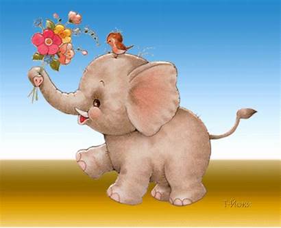 Elephant Bonitas Gifs Muy Cosas Variadas Animated