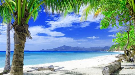 Picture yourself seeking shade from this lovely palm tree on a white, sandy beach. Beach Beautiful Beach Desktop HD Wallpapers Free ...