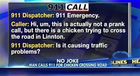 You Wont Believe Why Some People Are Calling 911 20 Pics