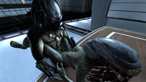 Rule 34 3d Alien Missionary Predator Predator Franchise Scales Source Filmmaker Xenophilia