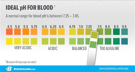 Bicarbonate acts as a buffer in the blood and helps maintain optimal ph. Are Superfoods Really ''Super''?