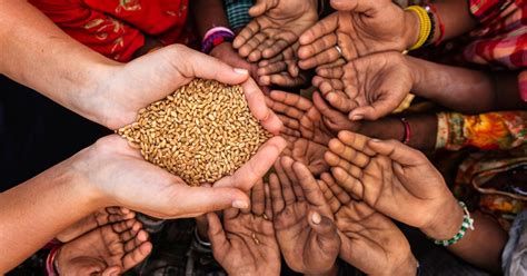 World Hunger Levels Rise For First Time In A Decade With 815 Million