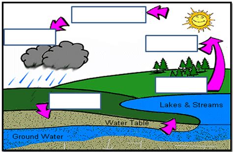 Water Cycle Unlabeled Water Cycle Cycle Pictures Earth Science