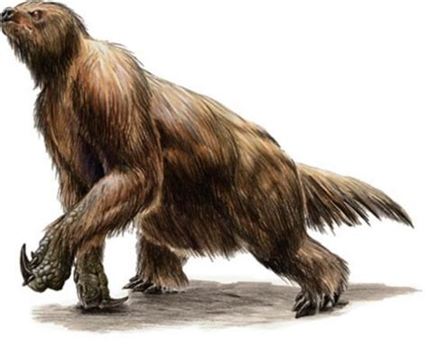 Top 10 Extinct Animals You Didnt Know About List Ogre