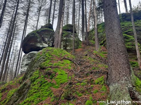 Und um diese köstlichkeiten zu hause zu genießen, fiel mir. Zurück zu Hause in der Sächsischen Schweiz | Liwijathan on ...