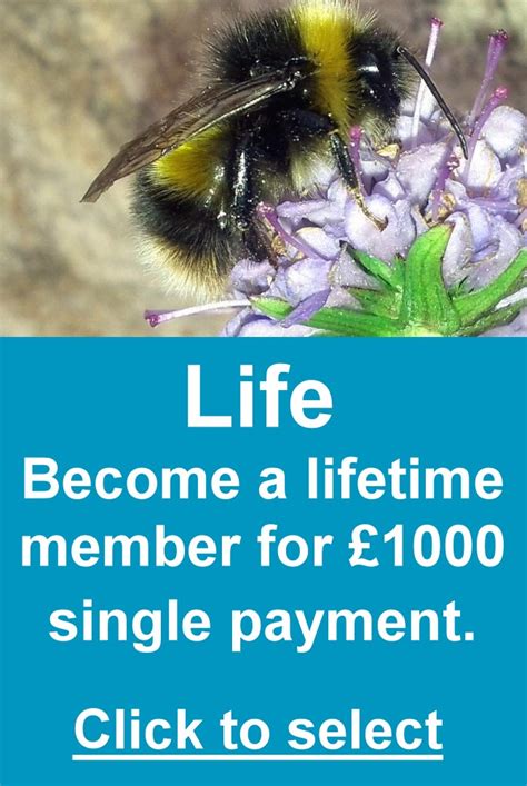 Join Bumblebee Conservation Trust