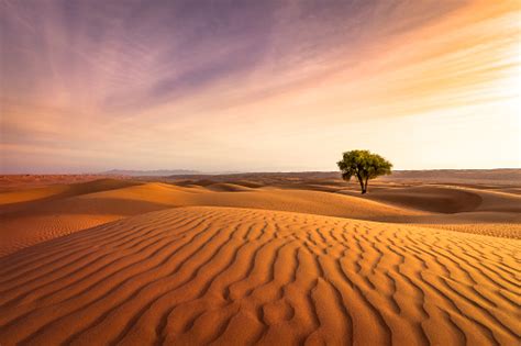 Best Desert Sky Pictures Hd Download Free Images On Unsplash