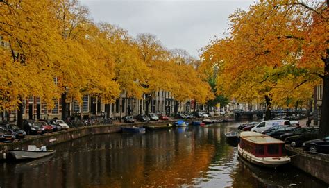 5 Things To Enjoy During Autumn In Amsterdam Dutchreview
