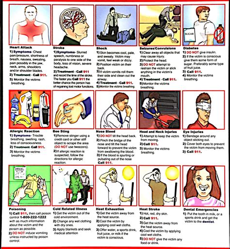 First Aid Study Guide Visual Start Cpr 1st
