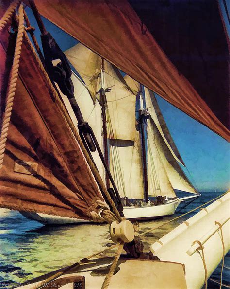 Its In The Sails Photograph By Sheila Mcdowell Fine Art America