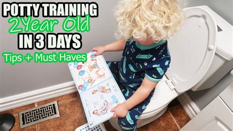 How To Potty Train Your 2 Year Old In 3 Days Potty Training Tips