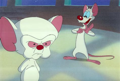 Pinky And The Brain Wallpapers High Quality Download Free