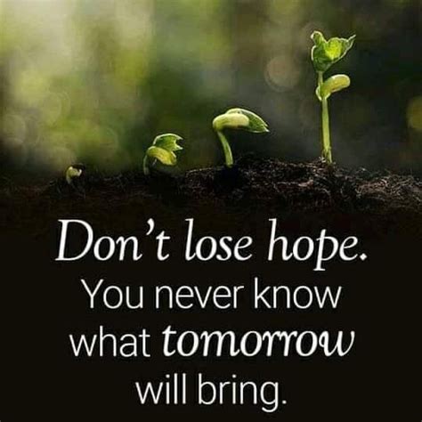 Dont Lose Hope You Never Know What Tomorrow Will Bring Phrases