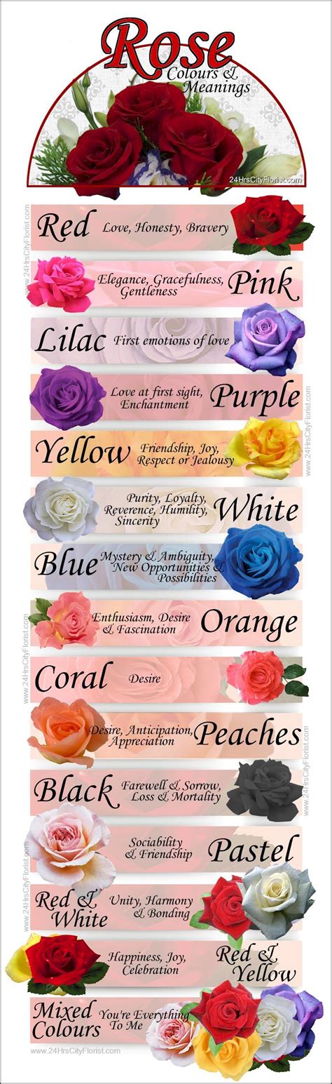 Rose Colors And Their Meanings