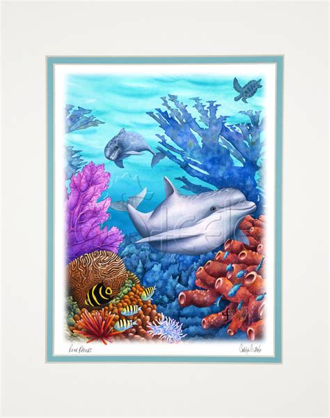 Carolyn Steele Tropical Art Print Playful Dolphins Etsy