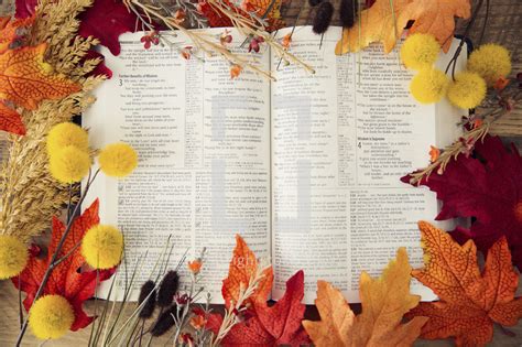 Frame Of Fall Leaves Around A Bible — Photo — Lightstock